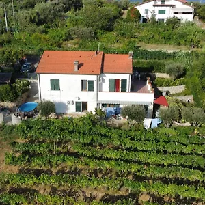 In Vino Veritas Отель типа 